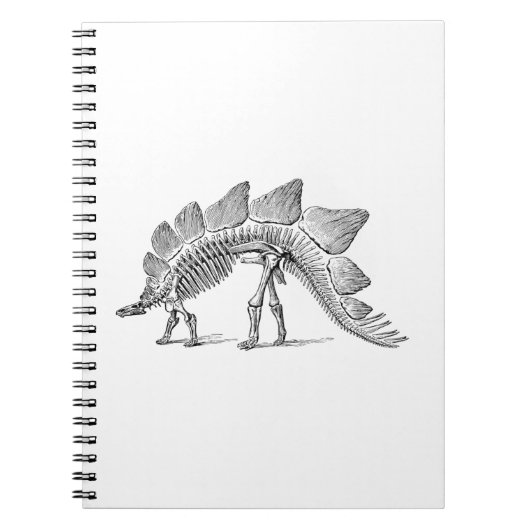 Carnet Stegosaurus Dinosaure Squelette Fossile (Devant)