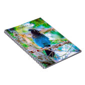 Carnet Steller's Jay - Photographie originale (Côté Droit)