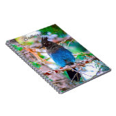 Carnet Steller's Jay - Photographie originale (Côté Droit)
