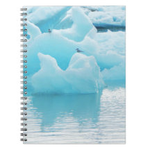 Sternes de Jökulsárlón