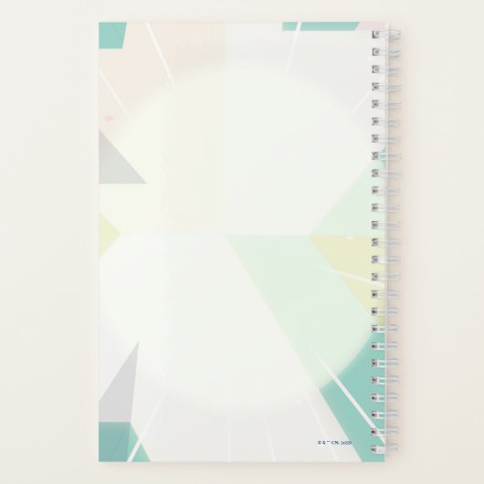 Carnet Steven Universe | Graphique de caractères perles (Verso)