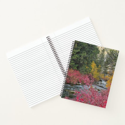 Carnet Stream Blooms Spiral Notebook (Intérieur)