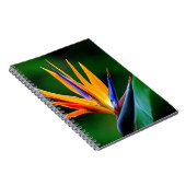 Carnet Strelitzia. Oiseau de fleur de paradis (Côté Droit)