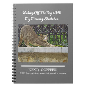 CARNET STRETCHAGE CAT