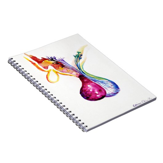 Carnet Structure hypophysaire (Côté Droit)