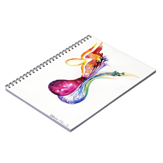 Carnet Structure hypophysaire (Côté gauche)