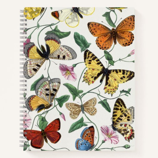 Carnet Study of Diurnal butterflies by Paul Gervais (Devant)