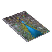 Carnet Stunning (Côté Droit)