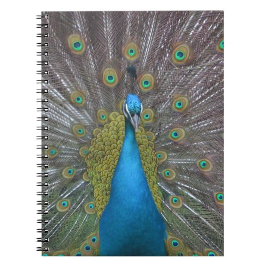 Carnet Stunning (Devant)