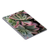 Carnet Succulent (Côté Droit)