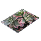 Carnet Succulent (Côté gauche)