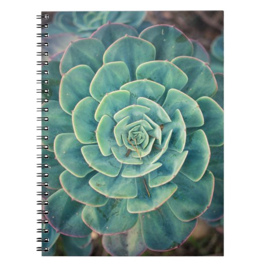Carnet Succulent en gros plan (Devant)