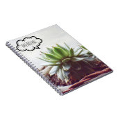 Carnet Succulent rêve d'Aeonium Gros devis (Côté Droit)