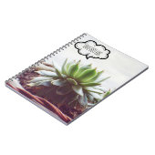 Carnet Succulent rêve d'Aeonium Gros devis (Côté gauche)