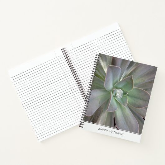 Carnet Succulent vert (Intérieur)