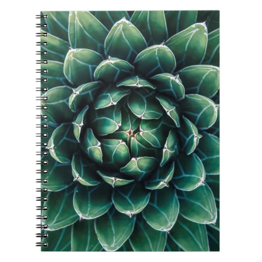 Carnet Succulent vert et blanc (Devant)