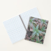 Carnet Succulentes du Nevada (Intérieur)