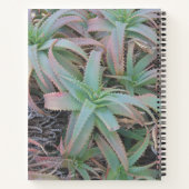 Carnet Succulentes du Nevada (Dos)