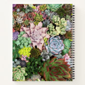 Carnet Succulents colorés (Dos)