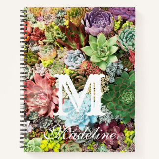 Carnet Succulents colorés