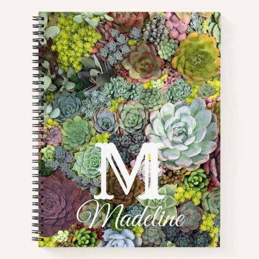 Carnet Succulents de verdure (Devant)
