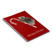 Carnet Sucre de canne Australian Koala Bears (Côté Droit)