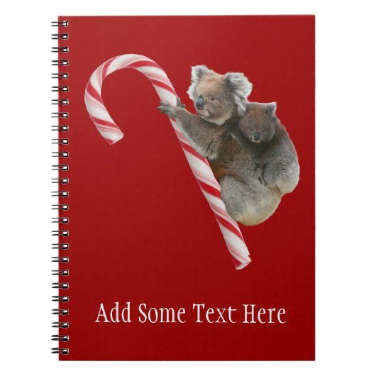 Carnet Sucre de canne Australian Koala Bears (Devant)