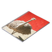 Carnet sud-africain de l'autruche (Côté gauche)