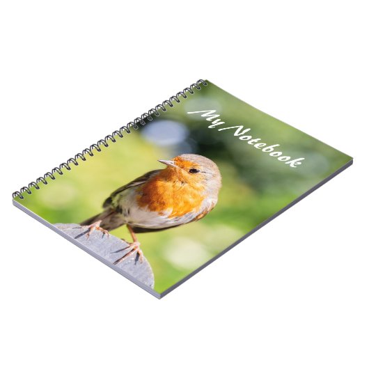 Carnet Summer Robin (Côté gauche)
