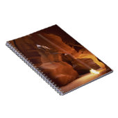 Carnet Sunbeam frappant l'amarante sur le plancher de (Côté Droit)