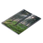 Carnet Sunbeams dans la Forêt-Noire (Côté gauche)