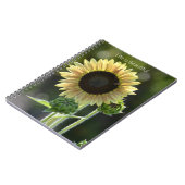 Carnet Sunflower Bee (my photography) (Côté gauche)
