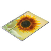 Carnet Sunflower du jardin (Côté gauche)