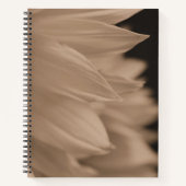 Carnet Sunflower Petals in Sepia Tone (Devant)