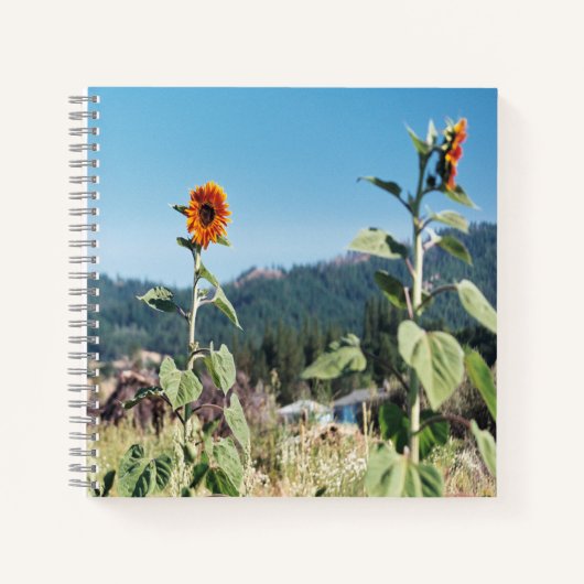 Carnet Sunflowers d'été...... (Devant)