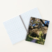 Carnet Sunlit Spanish Moss (Intérieur)