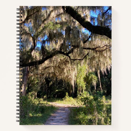 Carnet Sunlit Spanish Moss (Devant)