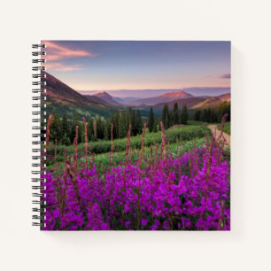 Carnet Sunrise fleur sauvage Butte de crête, Colorado