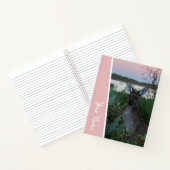 Carnet Sunset Kangaroo Australie Accent rose écriture (Intérieur)