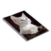 Carnet Super mignon Kitten blanc (Côté Droit)