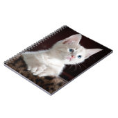 Carnet Super mignon Kitten blanc (Côté gauche)