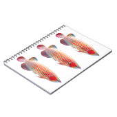 Carnet “Super Red Arowana”のスプリングノート (Côté gauche)