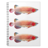 Carnet “Super Red Arowana”のスプリングノート (Devant)