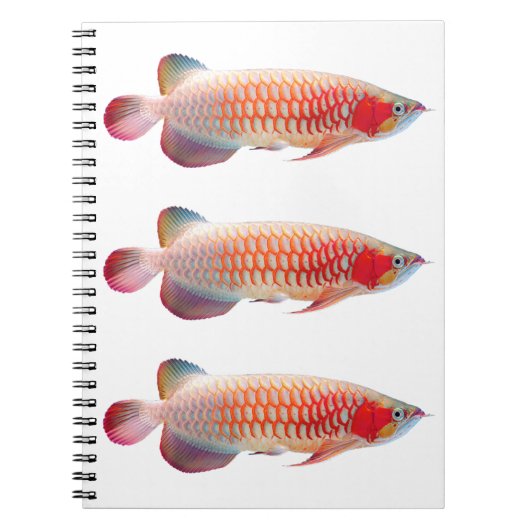 Carnet “Super Red Arowana”のスプリングノート (Devant)