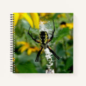 Carnet Superbe araignée orbicole dans sa toile (Devant)