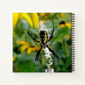 Carnet Superbe araignée orbicole dans sa toile (Dos)