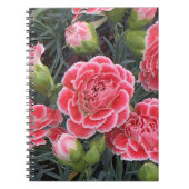 Carnet Superbe Dianthus (Devant)
