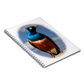 Carnet Superbe étoile vue de face (Côté Droit)