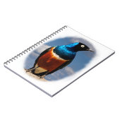 Carnet Superbe étoile vue de face (Côté gauche)