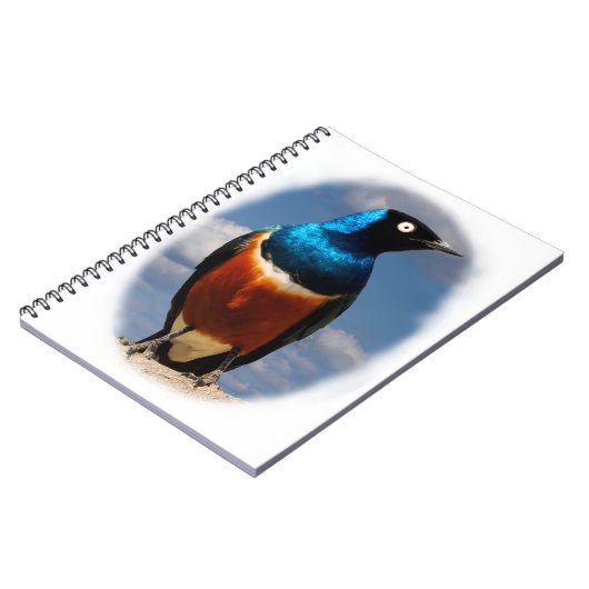 Carnet Superbe étoile vue de face (Côté gauche)